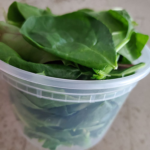 spinach